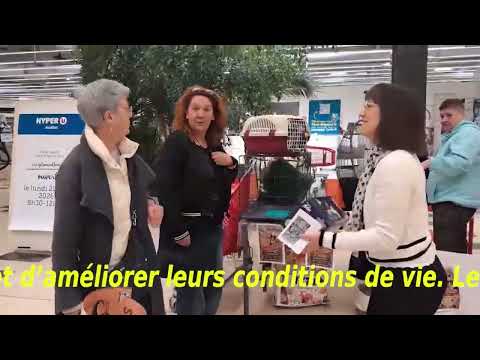 L’association Trois p’tits chats à Avallon (89)